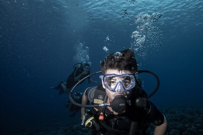 Introductory Scuba Diving Experience in Bora Bora - Why Travelers Love This Experience
