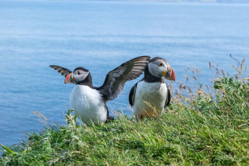 inverness-moray-coast-wildlife-and-speyside-whisky-tour