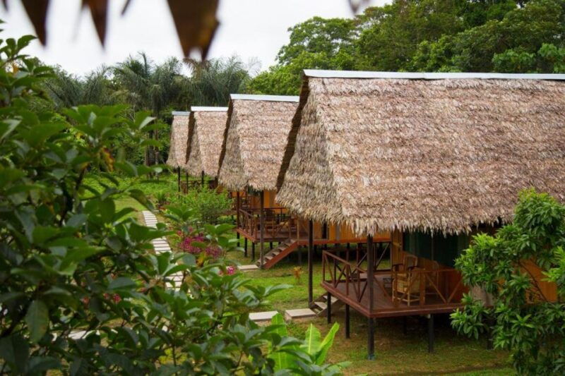 iquitos-2-days-and-1-night-guided-amazon-jungle-tour