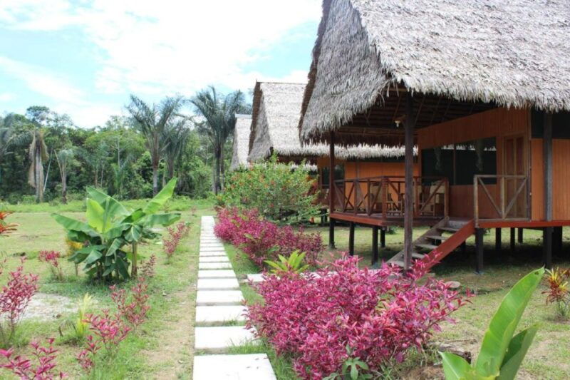 iquitos-3-days-and-2-nights-guided-amazon-jungle-tour