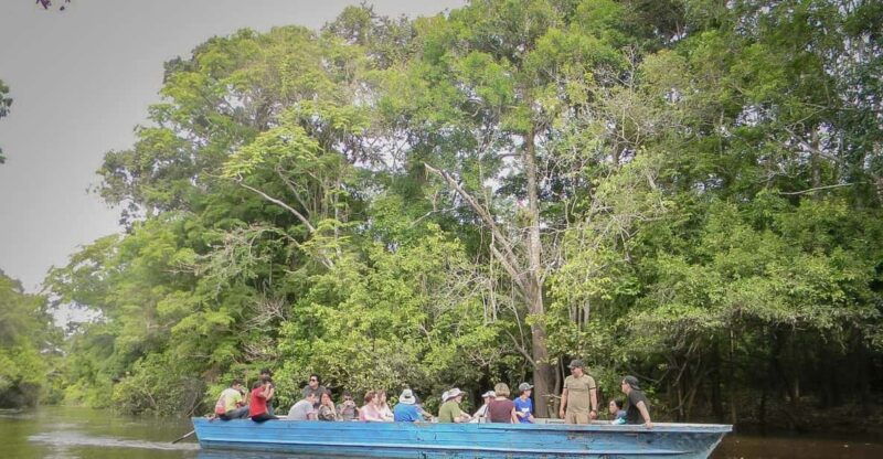 iquitos-amazon-jungle-4d-3n-journey-on-the-rainforest