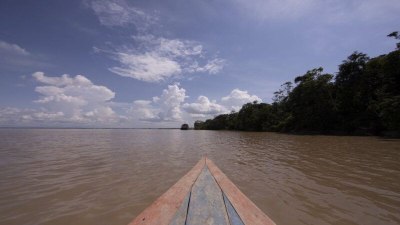 iquitos-piranha-fishing-experience-in-the-amazon-jungle