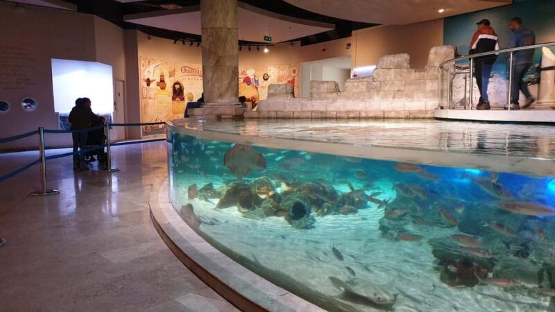 istanbul-aquarium-ticket-and-round-trip-shuttle-from-taksim