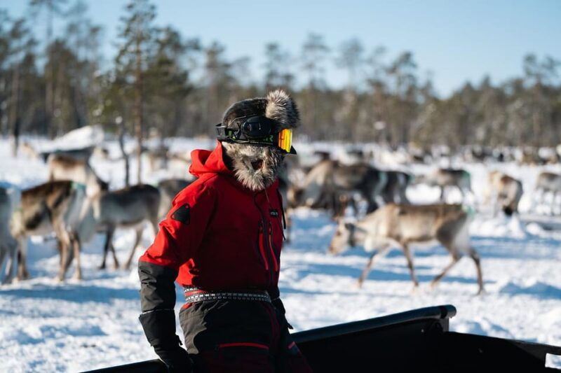 ivalo-reindeer-herders-and-winter-fishing-with-lunch