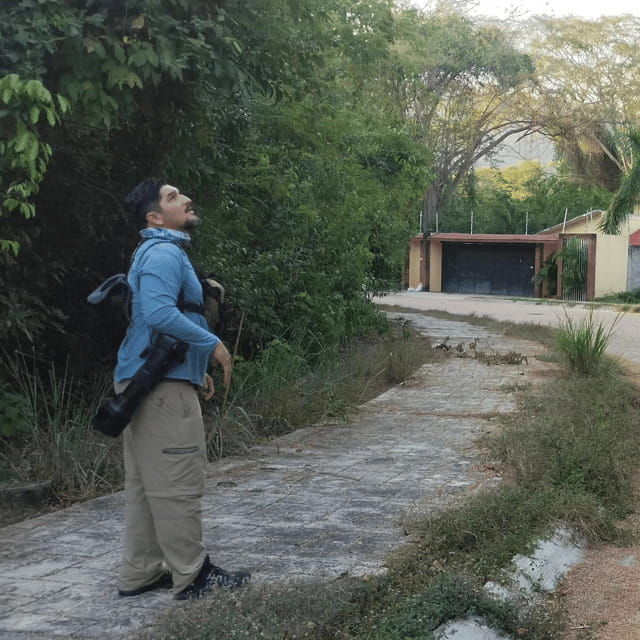 ixtapa-bird-watching-tour-with-round-trip-transportation