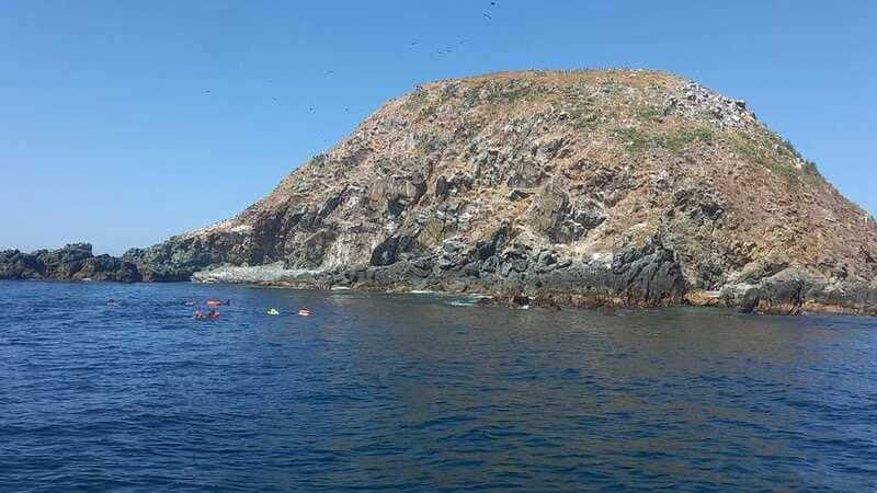 ixtapa-marine-life-exploration