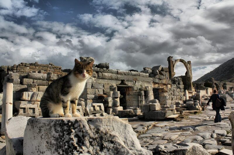 izmir-ephesus-and-sirince-guided-tour