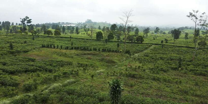 jakarta-active-volcano-waterfall-beautiful-local-village