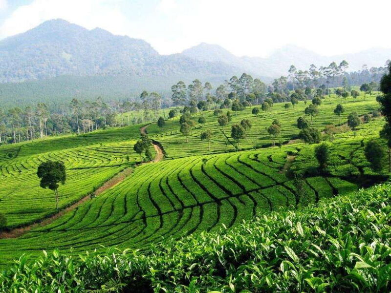 jakarta-java-tours-to-bandung-yogyakarta-bromo-ijen