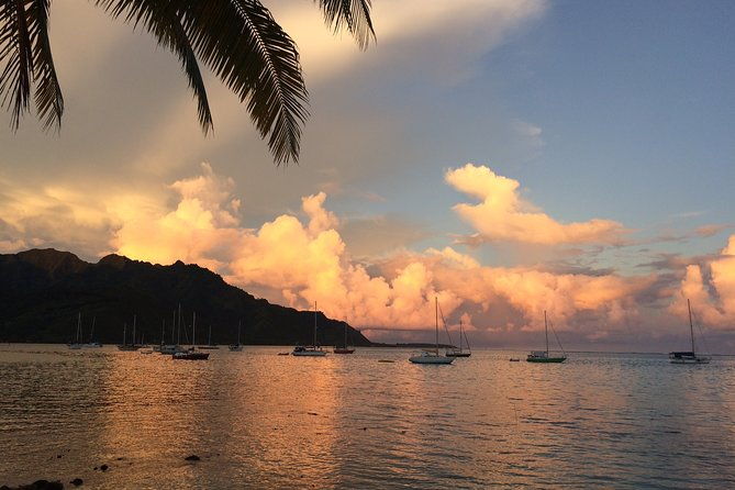 Janzu experience: massage and aquatic relaxation in the lagoon of Moorea - The Benefits of Janzu in Moorea