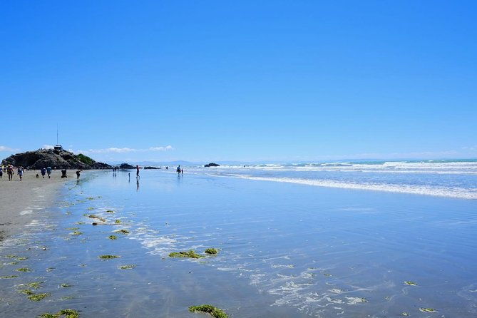 [Japanese guide] Christchurch scenic tour (half-day tour) - Final Thoughts