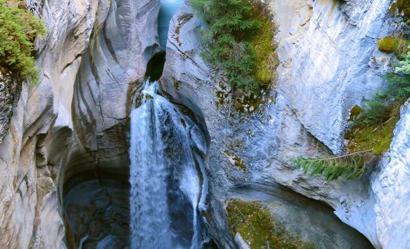 jasper-wildlife-and-waterfalls-tour-with-lakeshore-hike