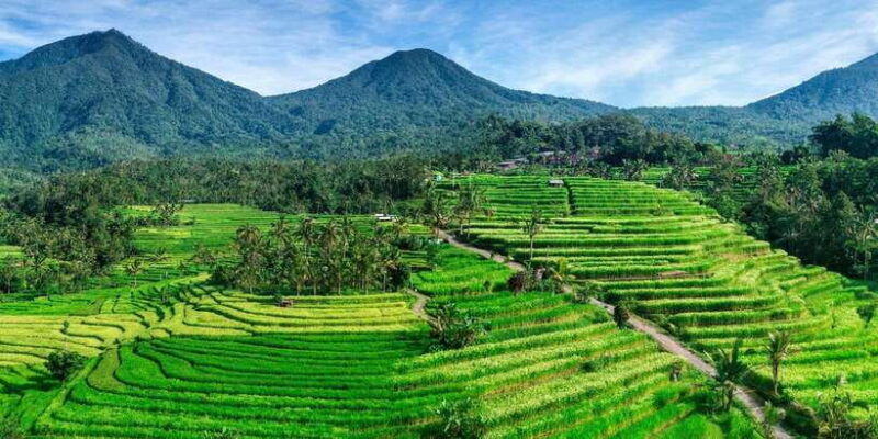 jatiluwih-unesco-site-2-hour-e-bike-cycling-tour