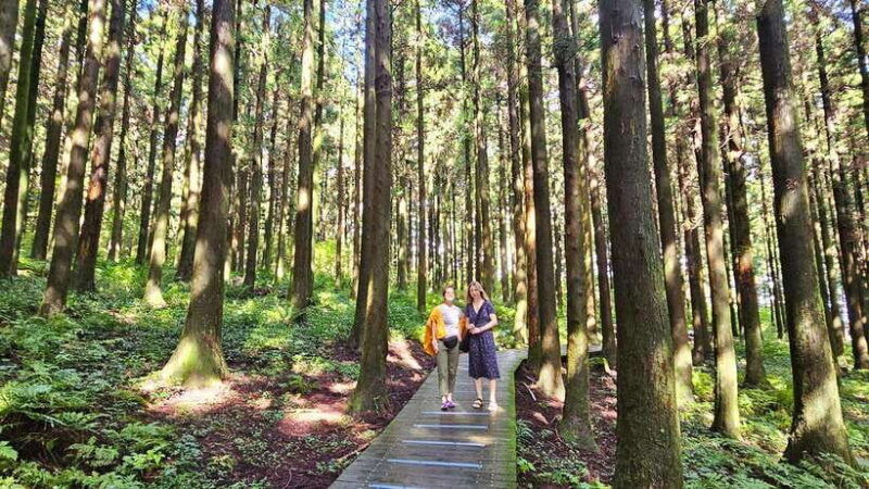 jeju-island-explore-unesco-world-heritage-sites-by-bus