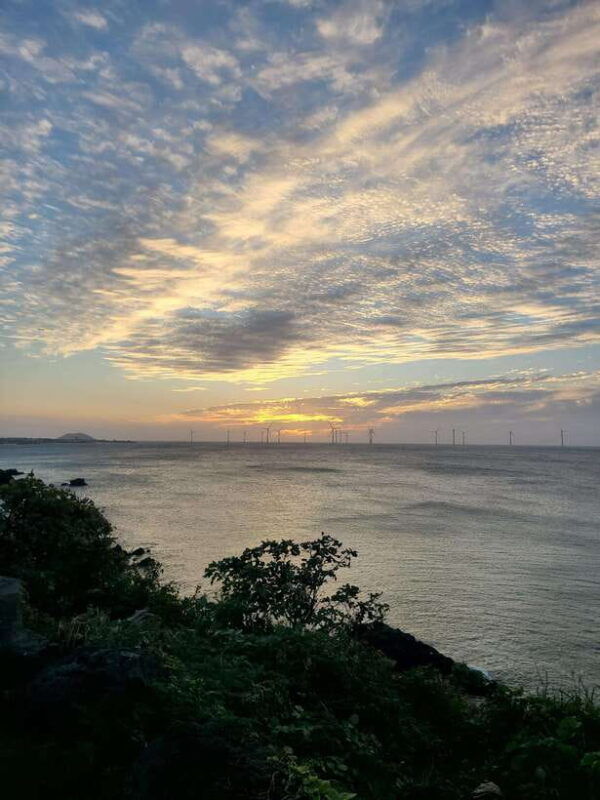 jeju-island-hallasan-mountain-winter-scenery-guided-tour
