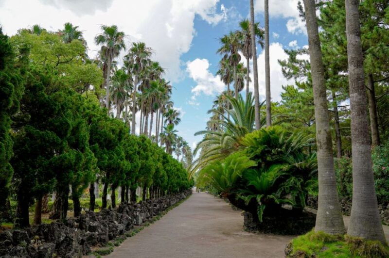 jeju-premium-small-group-unesco-day-tour-west