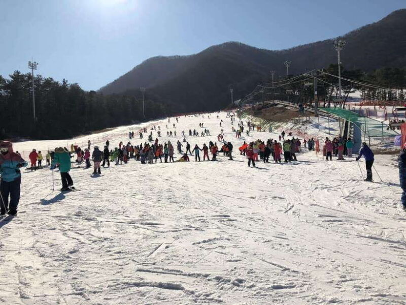 jisan-forest-ski-resort-one-day-tour