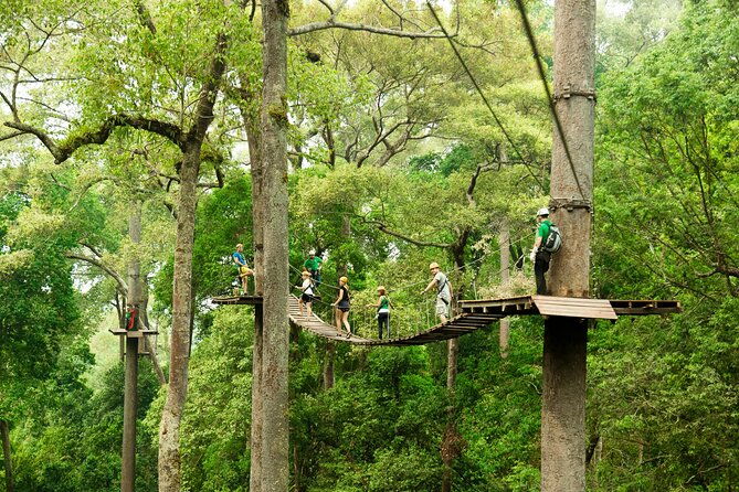 Jungle Flight Zipline Roller Coaster - The Heart of the Adventure: Ziplining & The Roller Coaster