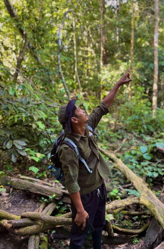 jungle-trek-including-stay-batu-ridi-jungle