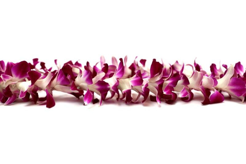kahului-airport-maui-flower-lei-greeting-upon-arrival