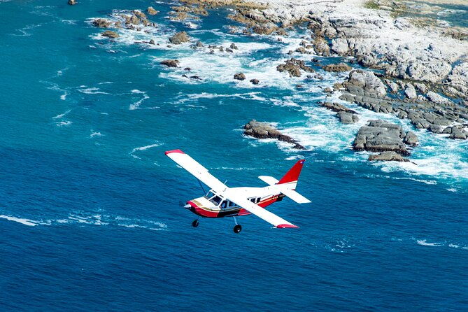 Kaikoura: Coastal and Alpine Scenic Airplane Flight - Final Thoughts