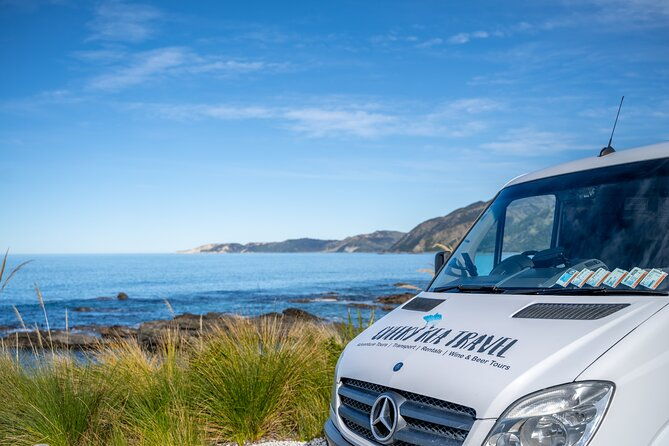 Kaikoura Day Tour With Kayak Experience From Christchurch - The Practical Details: What You Need to Know
