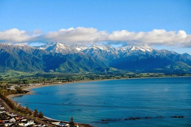 Kaikoura Swim with Dolphins Tour from Christchurch - FAQs