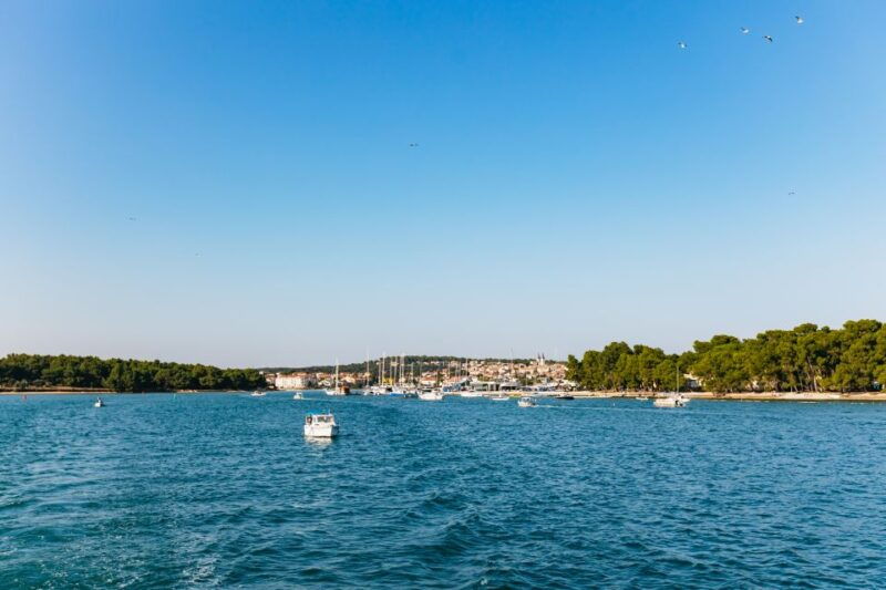 kamenjak-medulin-sunset-dolphin-boat-tour-with-dinner