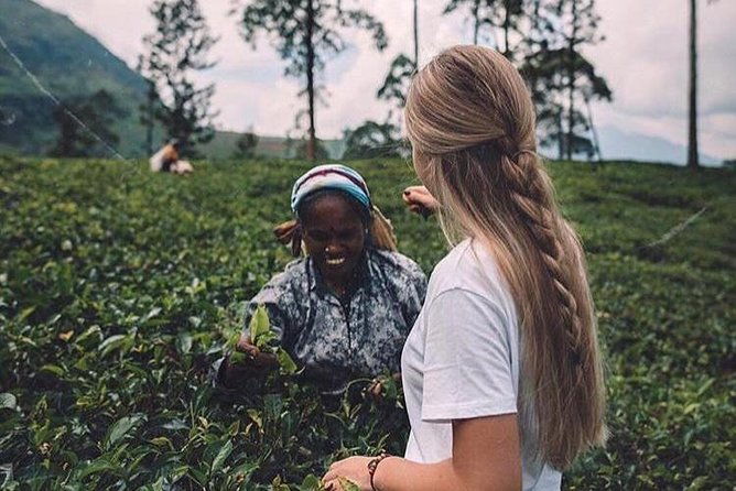Kandy & Nuwara Eliya | 2 Days Tour - Who Will Love This Tour?