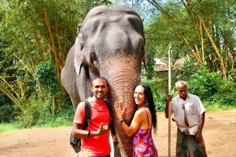 kandy-pinnawala-day-tour-with-top-rated-local-guide