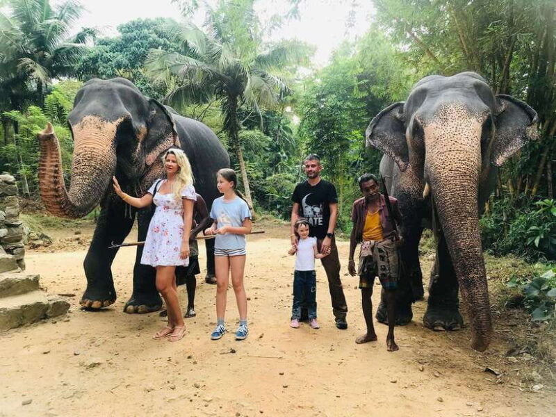 kandy-tuk-tuk-adventure-with-pinnawala-ambuluwawa-tower