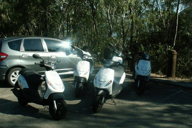 Kangaroo & Sunset Scooter Tour - Final Thoughts: Is It Worth It?