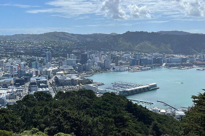 Kapiti Private Tour in Tesla SUV - Practical Details: Transportation, Duration, and Value