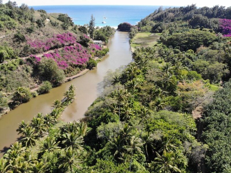 kauai-allerton-garden-guided-group-walking-tour