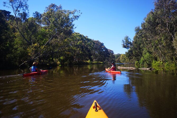 Kayaking in Geelong Victoria - The Practical Details