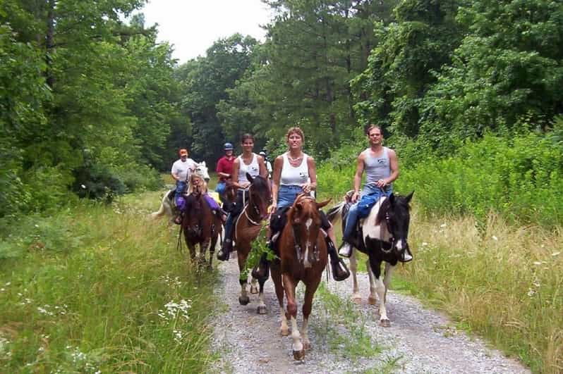 kemer-horse-safari-pick-up-from-kiris-beldibi-goynuk