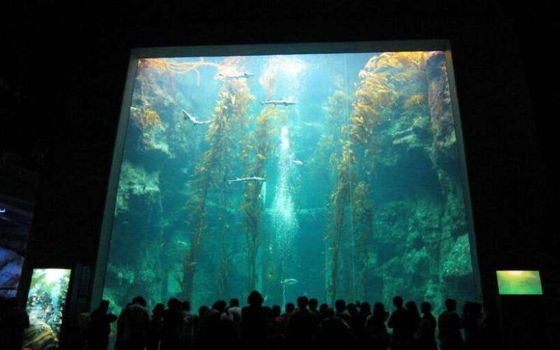 kenting-national-museum-of-marine-biology-aquarium