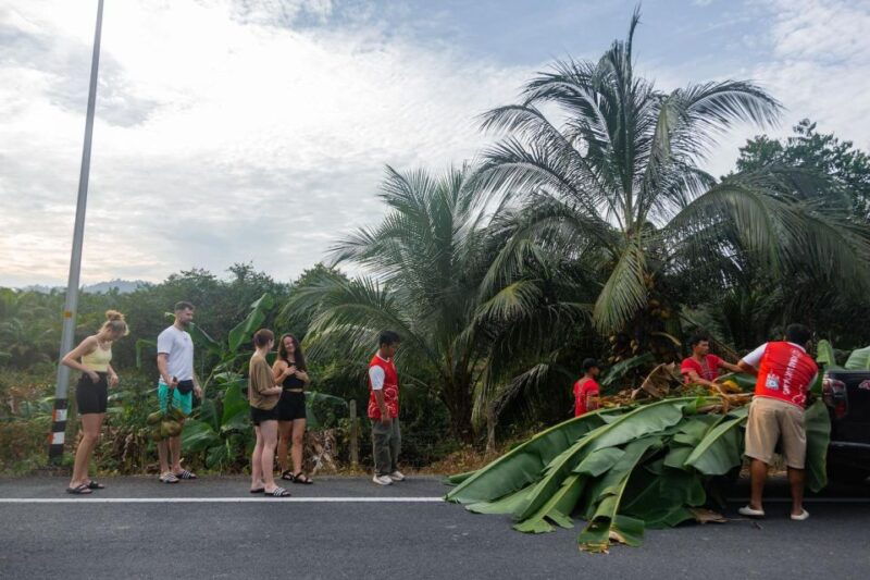 khao-lak-eco-safari-elephant-sanctuary-small-group-tour