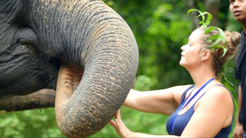 khao-lak-elephant-care-experience