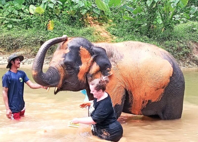 khao-lak-elephant-sanctuary-guided-tour