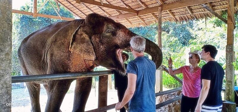 khao-lak-khao-sok-private-elephant-daycare-bamboo-rafting