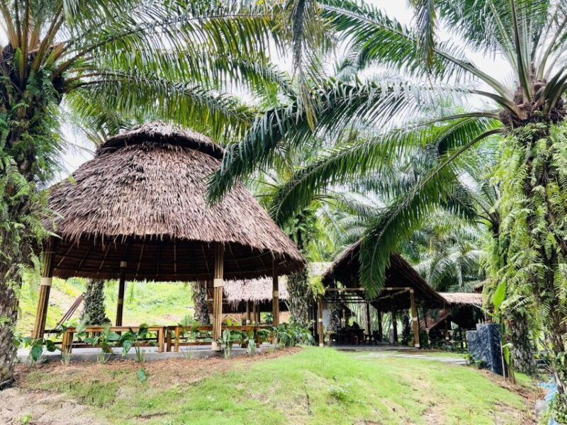 khao-sok-ethical-elephant-sanctuary-visit