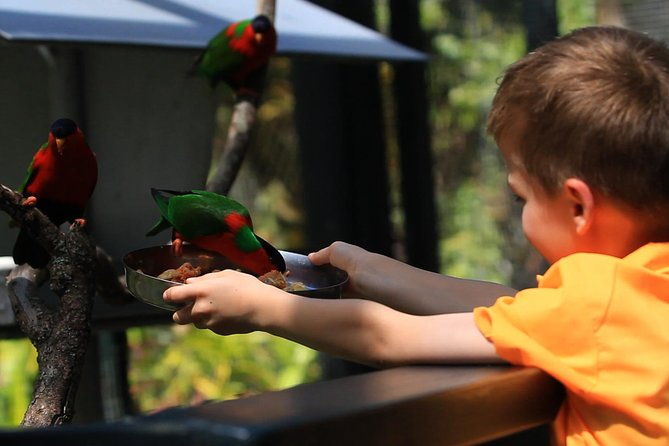 Kids Park Ranger for a Day - The Itinerary: A Day as a Kula Ranger