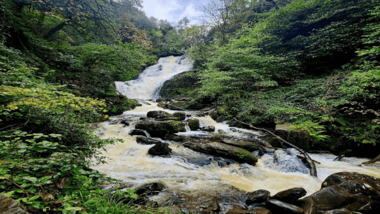 killarney-area-half-day-tour