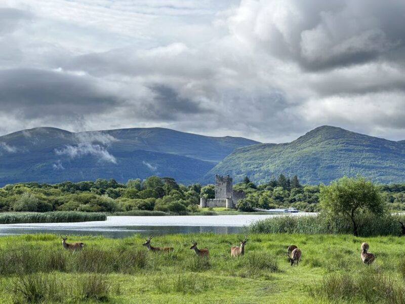 killarney-killarney-national-park-private-tour