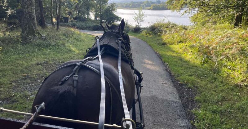 killarney-national-park-jaunting-car-tour