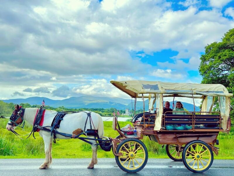 killarney-national-park-tour-2