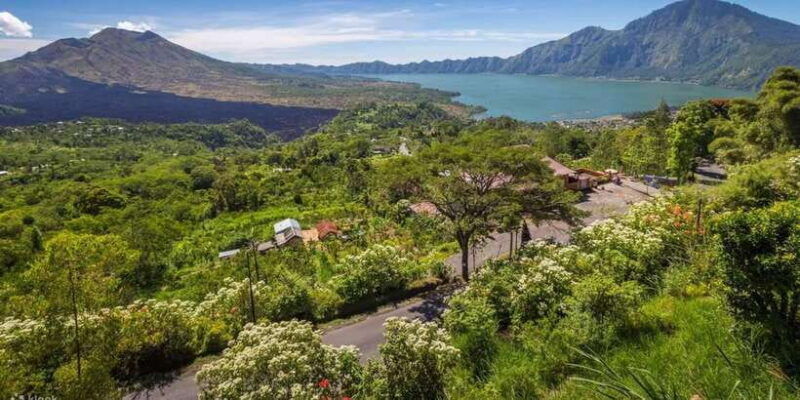 kintamani-full-day-tour-tegalalang-rice-field-goa-gajah