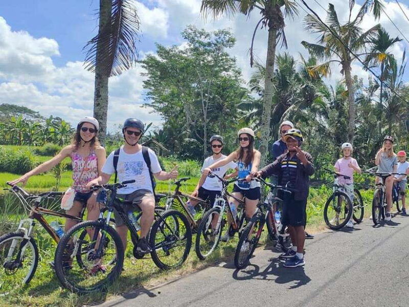 kintamani-to-ubud-downhill-cycling-tour