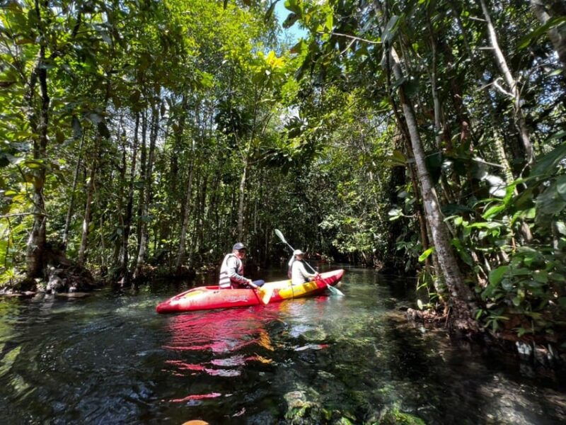 klong-rud-kayaking-with-hotel-transfer